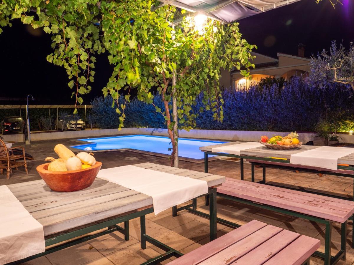 Apartments Zaton Zaton  Εξωτερικό φωτογραφία